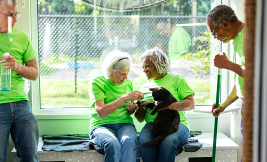 Read more about the article How Animal Shelters Can Get the Word Out About Spay / Neuter Programs