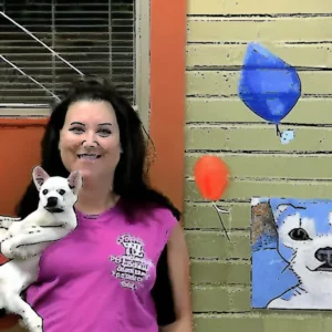Artistic representation for Clear the Shelters : Palmetto Animal League's Effort to Find Homes