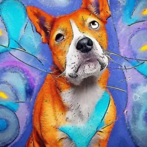 Artistic representation for "midlands humane society: weekly extraordinary pet adoption match