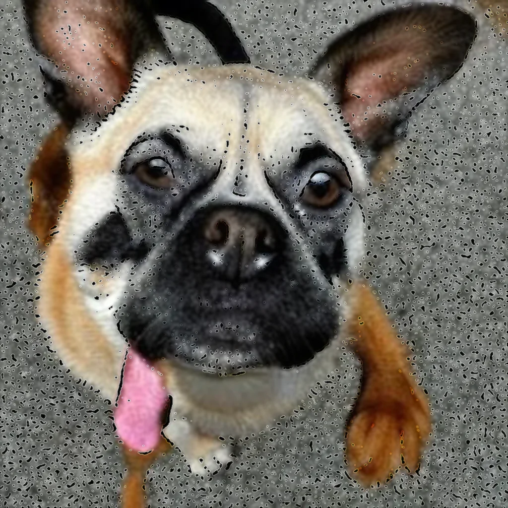 Artistic representation for South West Man Charged Over Dog Left To Suffer