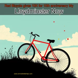 Artistic representation for Red Bicycle gives 10K for 10th anniversary My Lloydminster Now