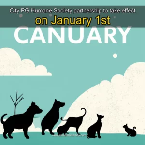 Artistic representation for City PG Humane Society partnership to take effect on January 1st