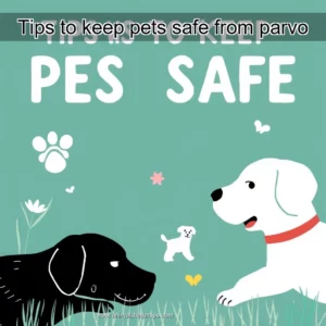 Artistic representation for Tips to keep pets safe from parvo