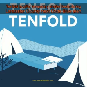 Artistic representation for Tenfold to offer temporary shelter beds during Lancaster County next Code Blue alert