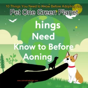 Artistic representation for 10 Things You Need to Know Before Adopting Any Pet One Green Planet