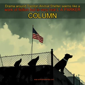 Artistic representation for Drama around Trenton Animal Shelter seems like a work of fiction but is very real L A PARKER COLUMN