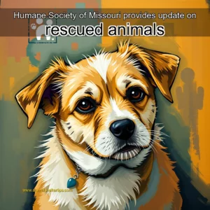 Artistic representation for Humane Society of Missouri provides update on rescued animals