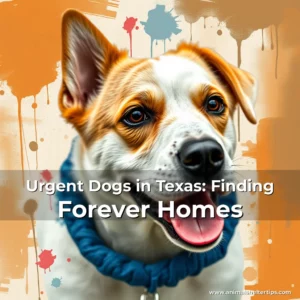 Artistic representation for Urgent Dogs in Texas: Finding Forever Homes
