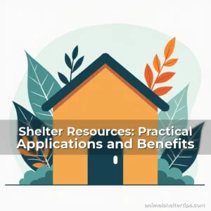 Artistic representation for Shelter Resources: Practical Applications and Benefits