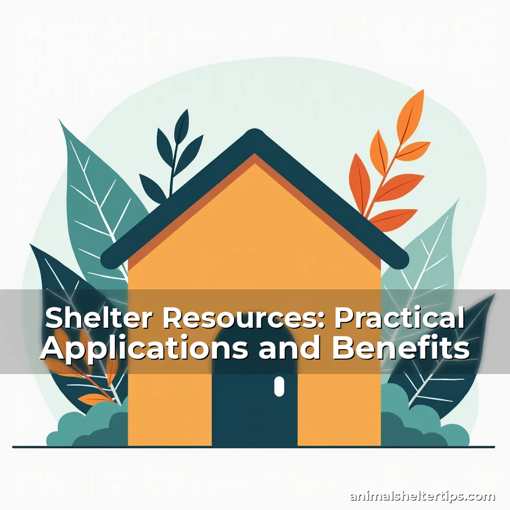 Artistic representation for Shelter Resources: Practical Applications and Benefits