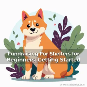 Artistic representation for Fundraising For Shelters for Beginners: Getting Started
