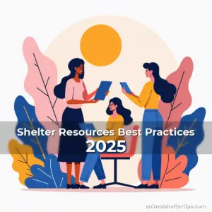 Artistic representation for Shelter Resources Best Practices 2025