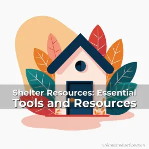 Artistic representation for Shelter Resources: Essential Tools and Resources