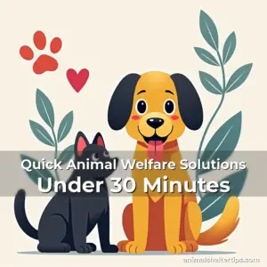 Artistic representation for Quick Animal Welfare Solutions Under 30 Minutes