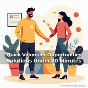 Artistic representation for Quick Volunteer Opportunities Solutions Under 30 Minutes