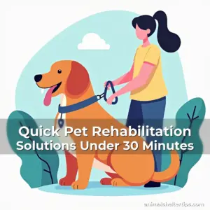 Artistic representation for Quick Pet Rehabilitation Solutions Under 30 Minutes