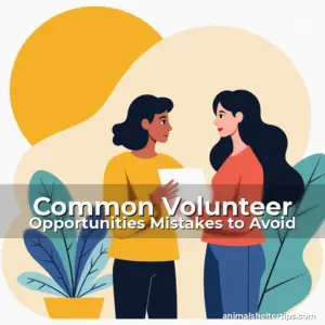 Artistic representation for Common Volunteer Opportunities Mistakes to Avoid
