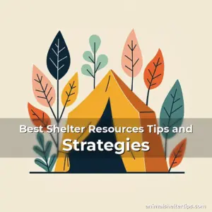 Artistic representation for Best Shelter Resources Tips and Strategies