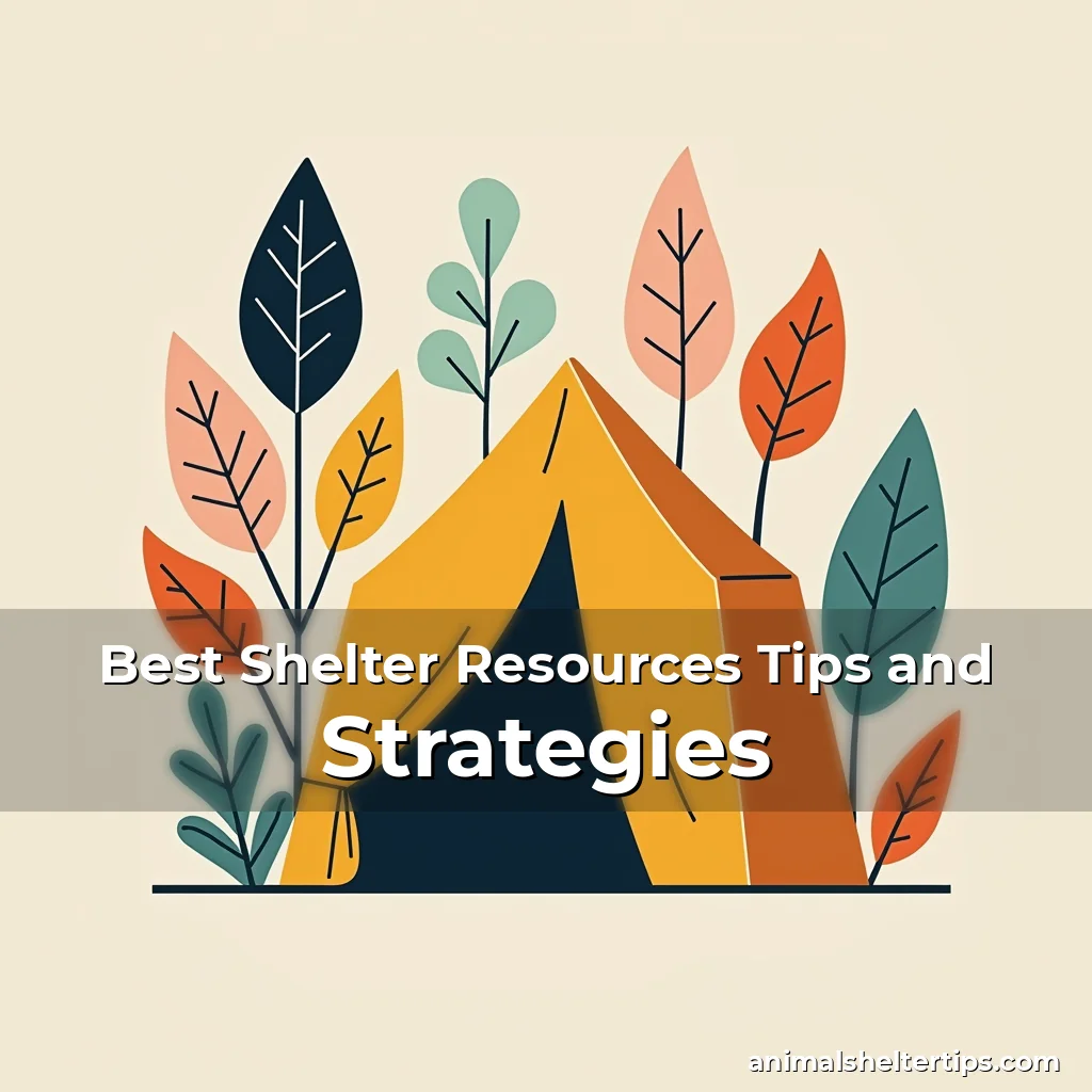 Artistic representation for Best Shelter Resources Tips and Strategies