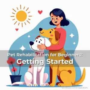 Artistic representation for Pet Rehabilitation for Beginners: Getting Started